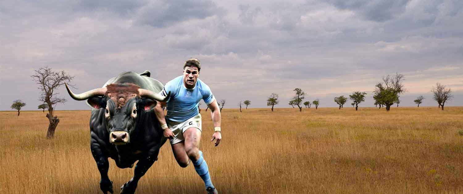 Home | Limpopo Blue Bulls International Rugby Institute