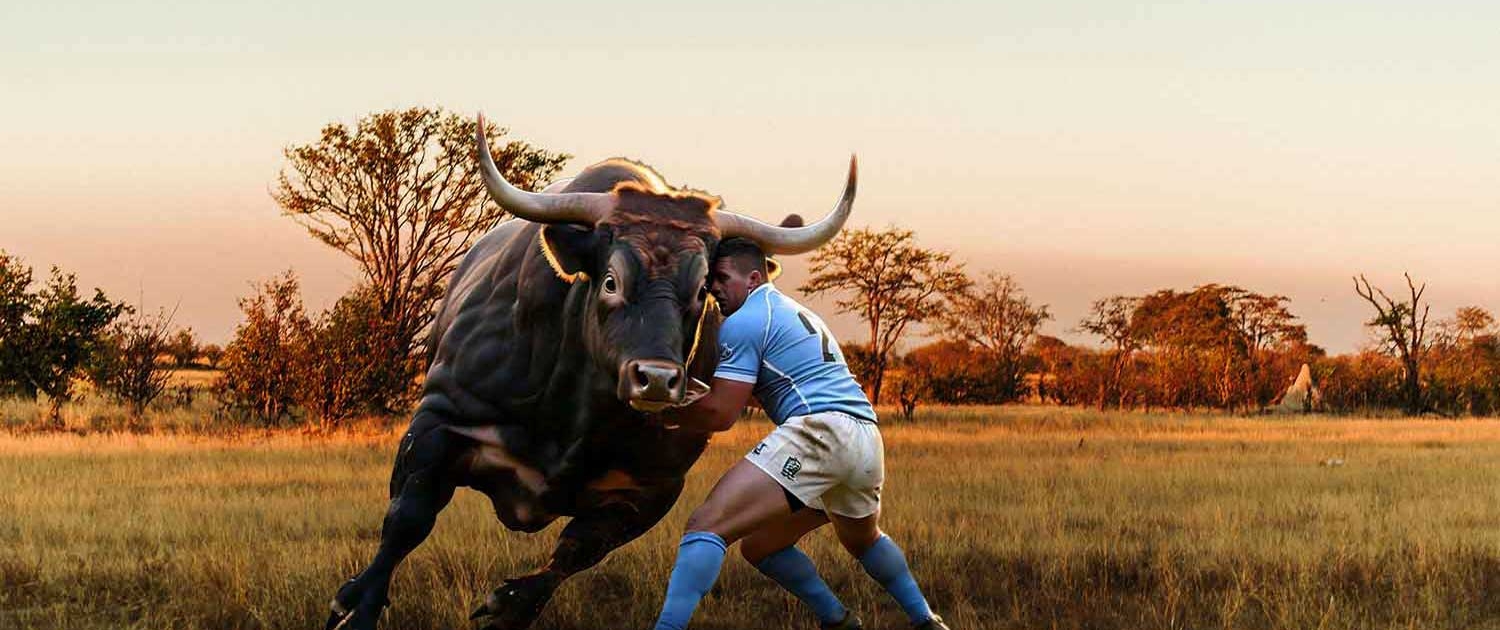 Blue Bulls Rugby